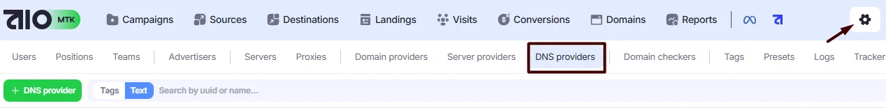 DNS Providers tab.