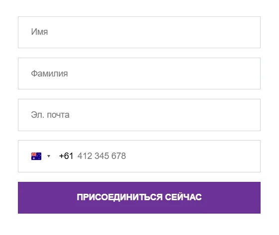 Default SDK Form.