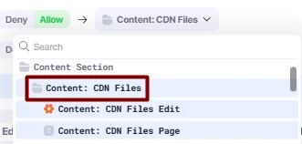 Content: CDN Files that grants access only to CDN Files subsection within Content section.