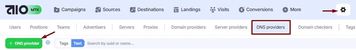 +DNS Provider button.